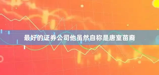 最好的证券公司他虽然自称是唐室苗裔