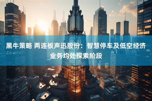 黑牛策略 两连板声迅股份：智慧停车及低空经济业务均处探索阶段