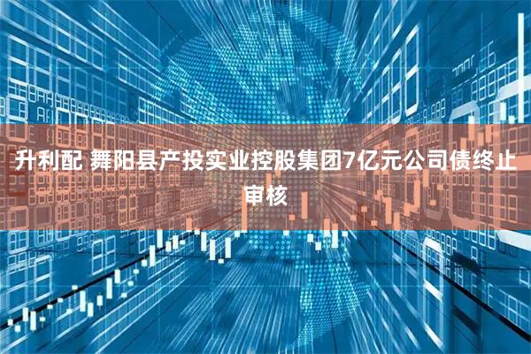 升利配 舞阳县产投实业控股集团7亿元公司债终止审核