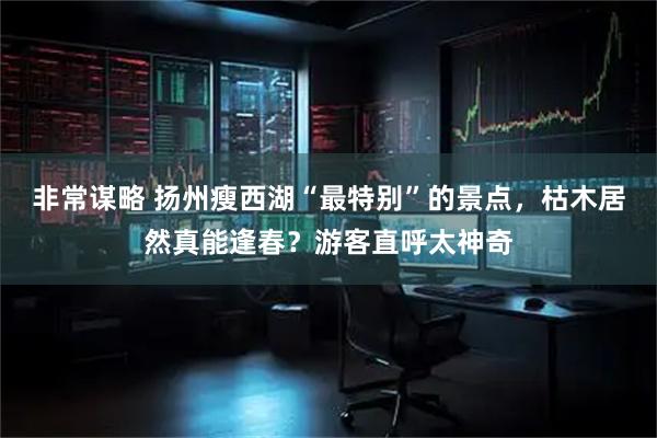 非常谋略 扬州瘦西湖“最特别”的景点，枯木居然真能逢春？游客直呼太神奇