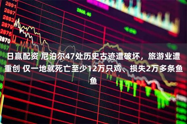 日赢配资 尼泊尔47处历史古迹遭破坏，旅游业遭重创 仅一地就死亡至少12万只鸡、损失2万多条鱼