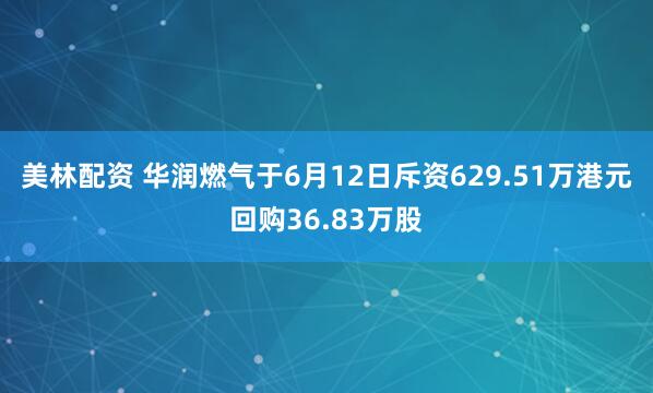 美林配资 华润燃气于6月12日斥资629.51万港元回购36.83万股